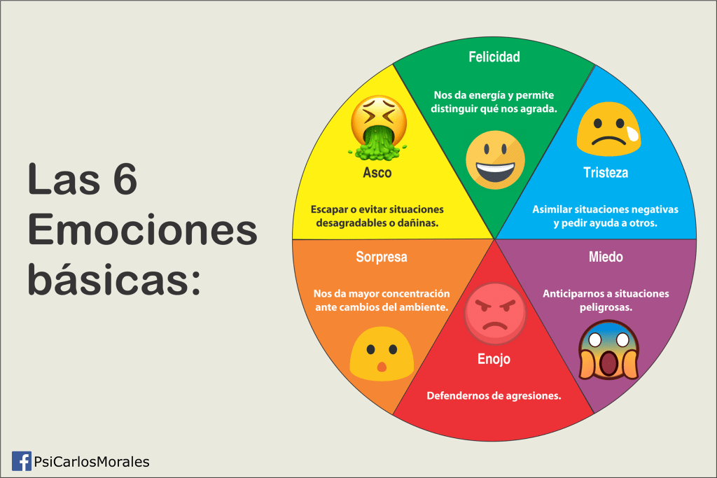 Rueda de las emociones básicas, para que puedas identificar mejor lo que sientes.